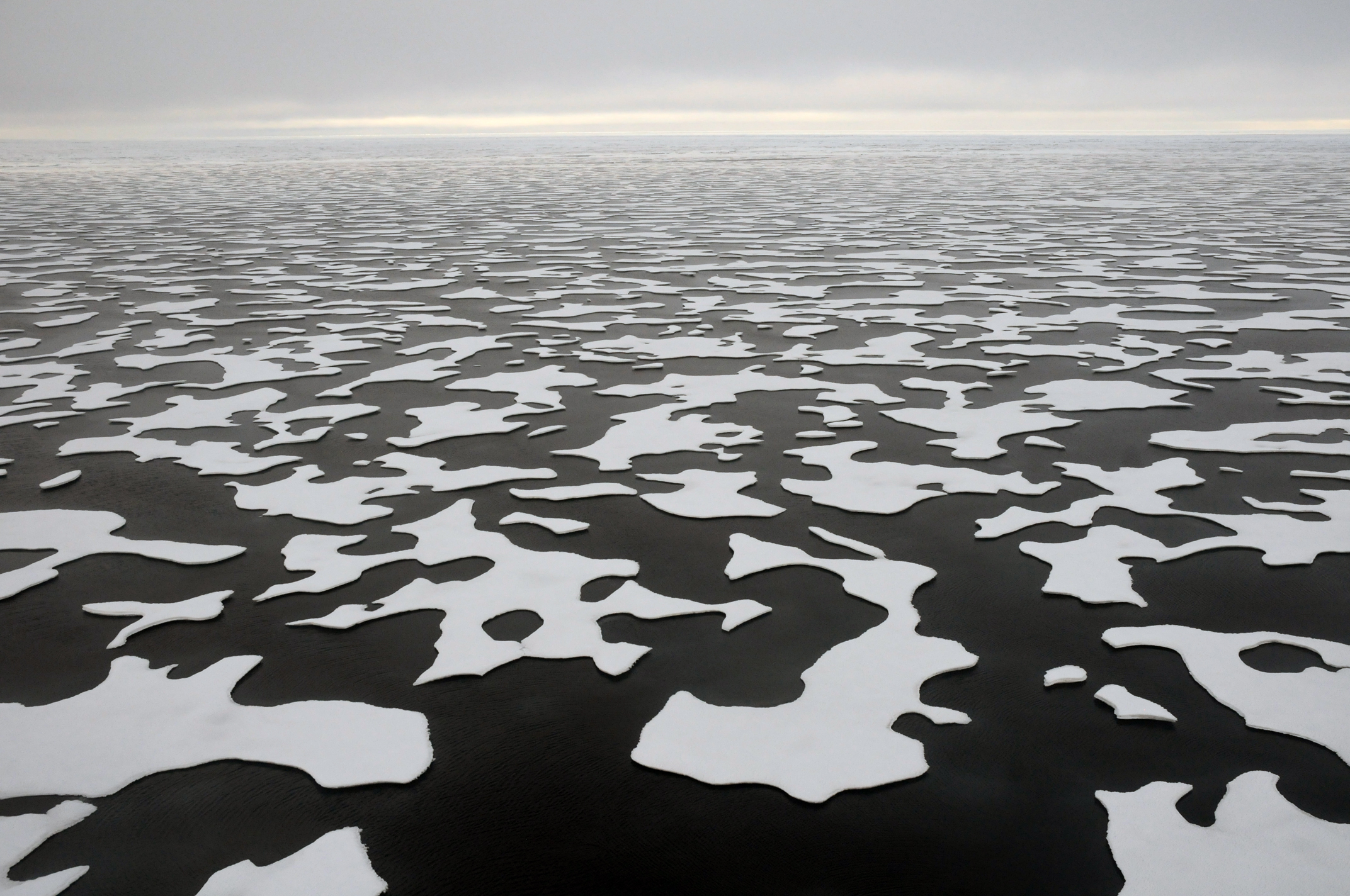 Resultado de imagen para THE MOST DRAMATIC PICTURES OF ARCTIC ICE MELTING
