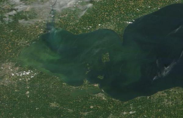 Algae bloom Lake Eerie