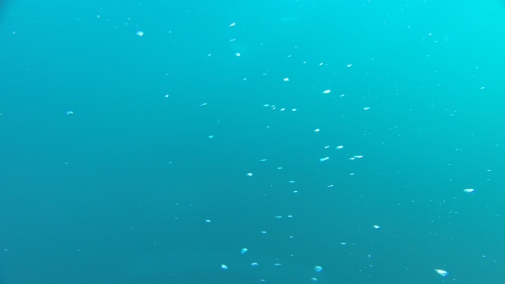 methane bubbles near the Laptev sea surface