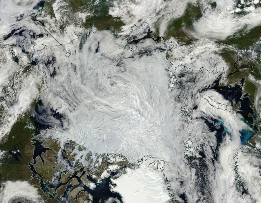 Arctic Sea Ice August 9 2016