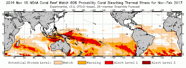 coral-bleaching-risk-through-february