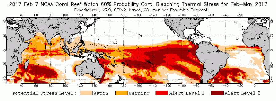 global-coral-bleaching-forecast